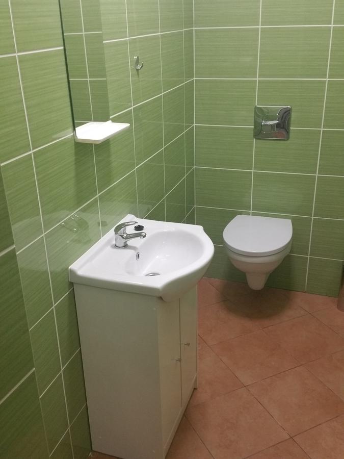 Kaktus 2
