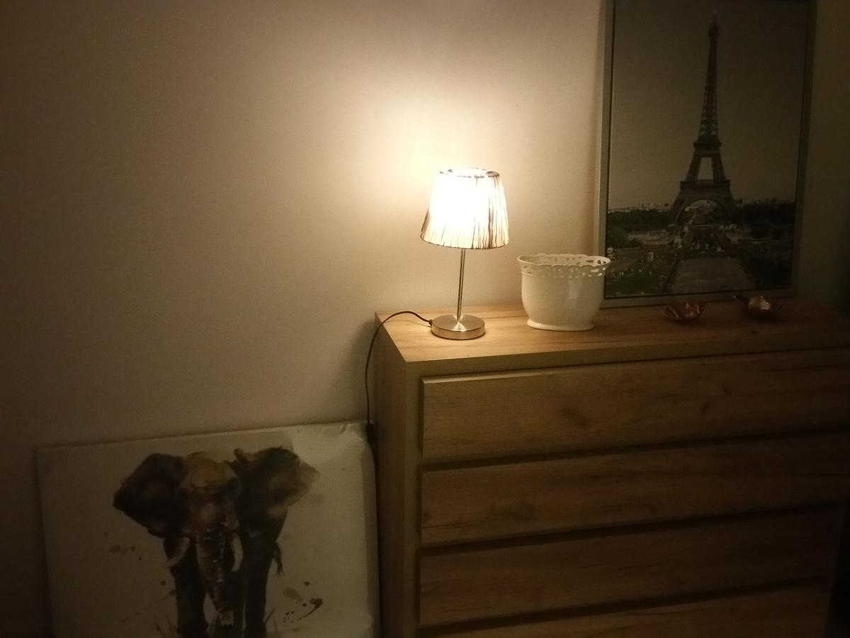 Kaktus 2 Nakvynės namai